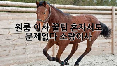 원룸 이사 꿀팁🍯 혼자서도 문제없다! #소량이사